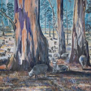 Sheep among the Gums