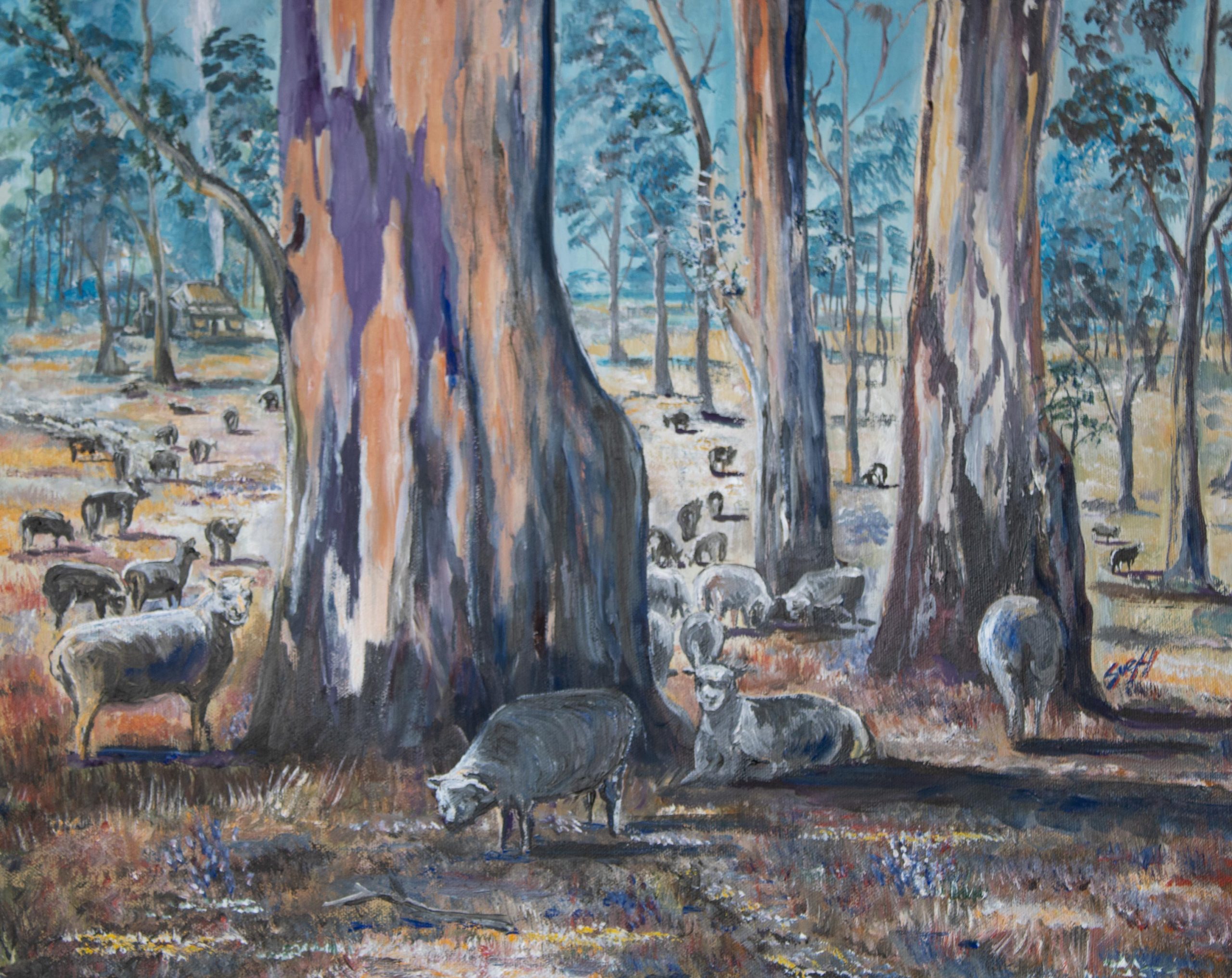 Sheep among the Gums